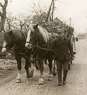 Rübentransport